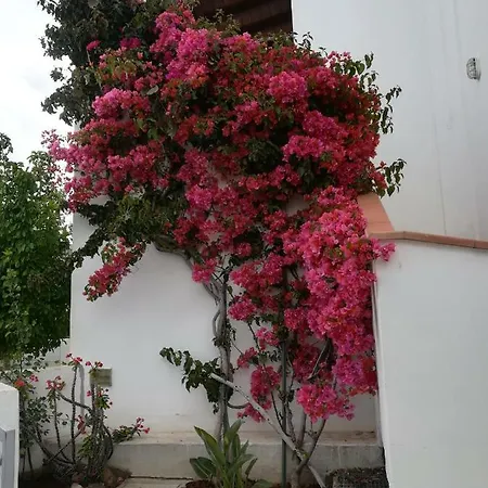 Sacha - Stunning Panoramic View Flat * Cala Gonone